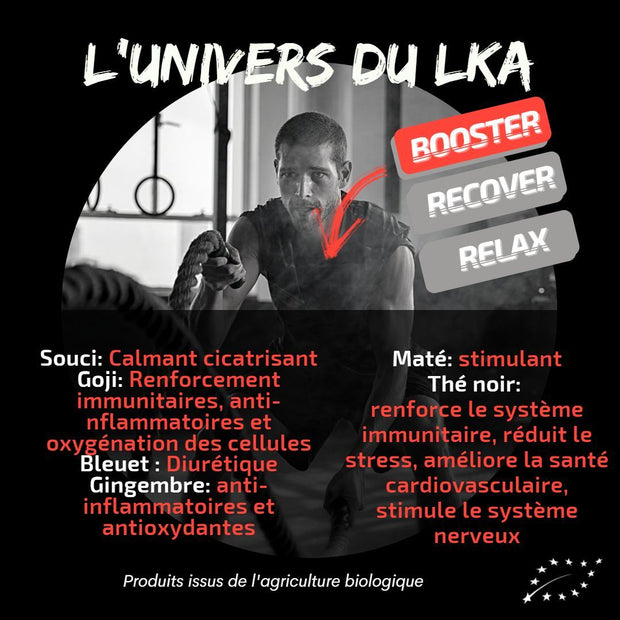 Le LKA, BOOSTER thé noir punchy