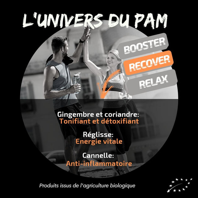 PAM, Infusion tisane bio récupération Ayurveda Chaï odtea.fr ODTEA.FR